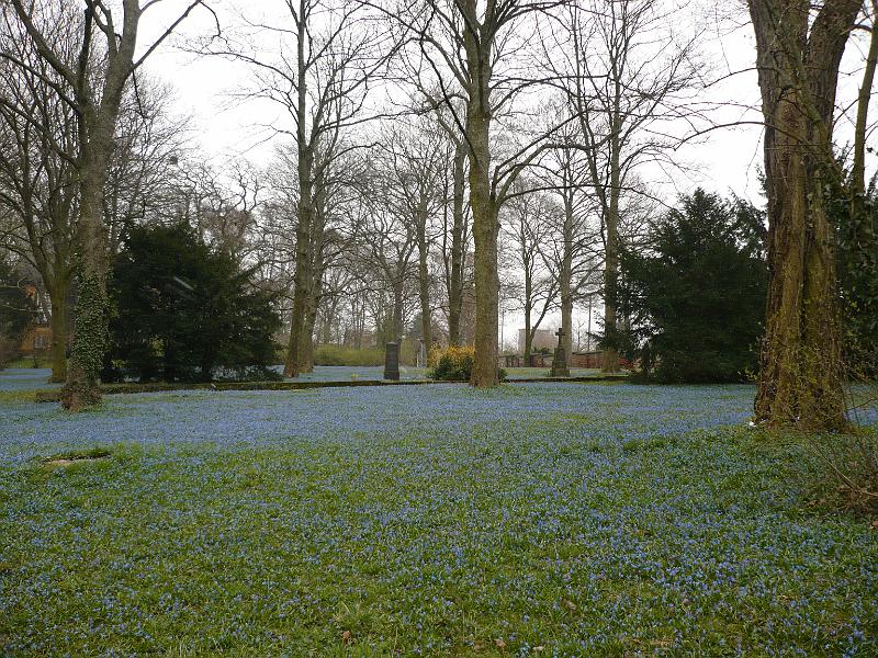 Das blaue Wunder im Berggarten.JPG